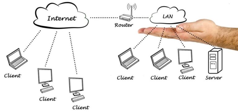 What are 3 common functions of a server in a business network?