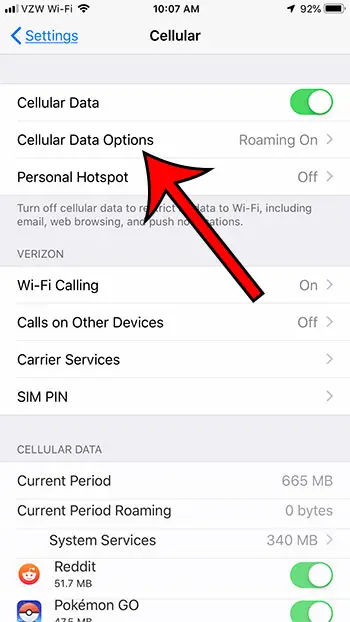 Should I turn roaming on or off? — The Daily VPN