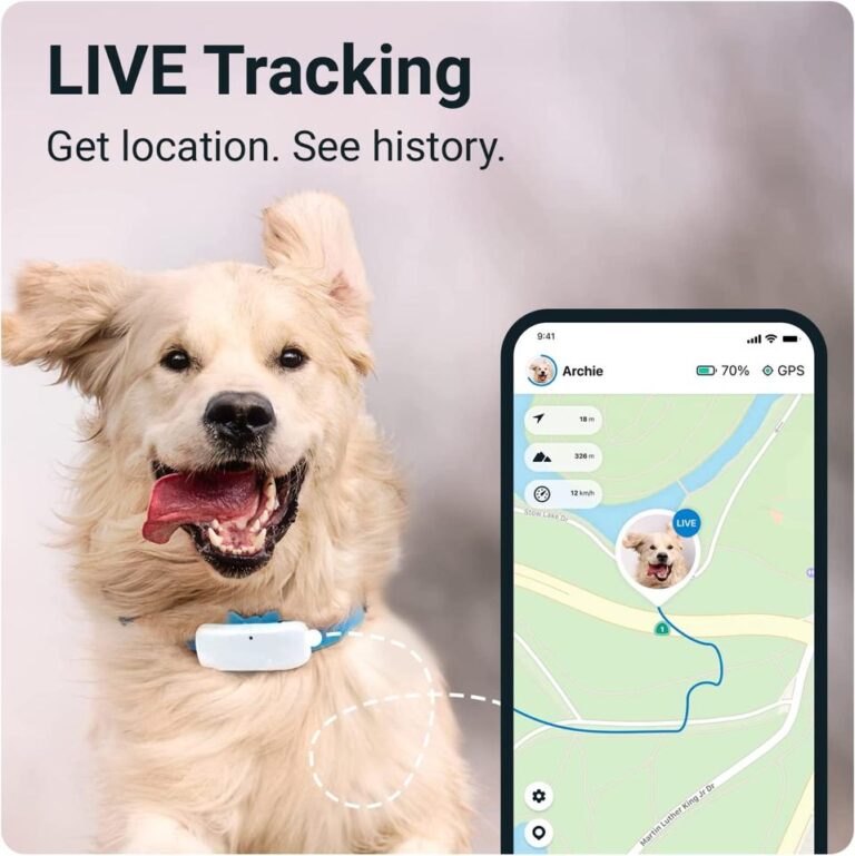 Are GPS trackers worth it for dogs?