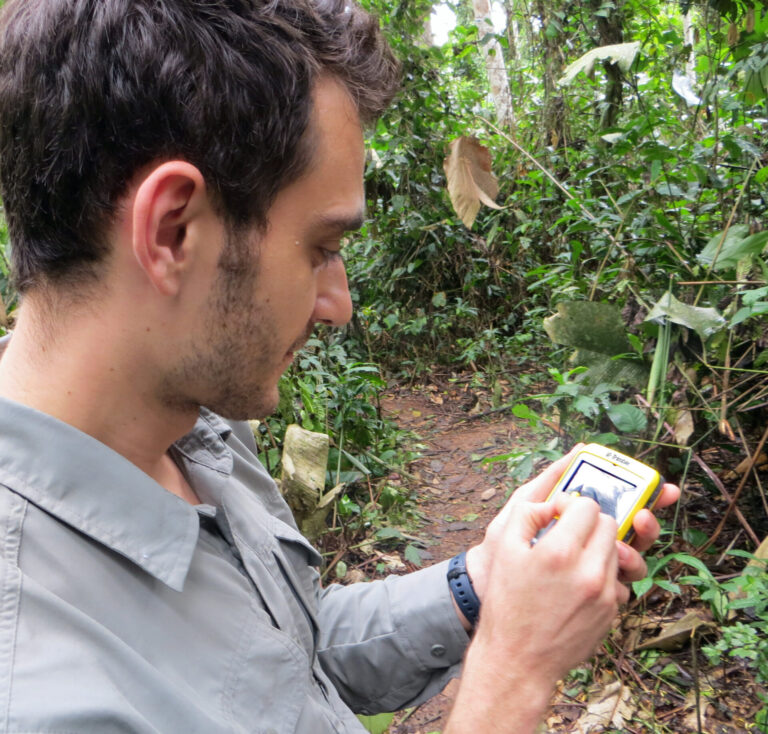 Does GPS work in rainforest?