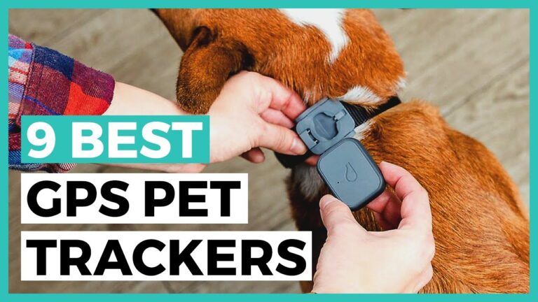 How do I choose the best pet tracker?