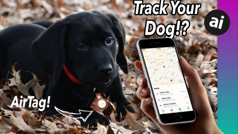 How do I track an animal on AirTag?