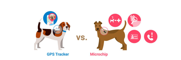 How does a pet GPS tracker work?