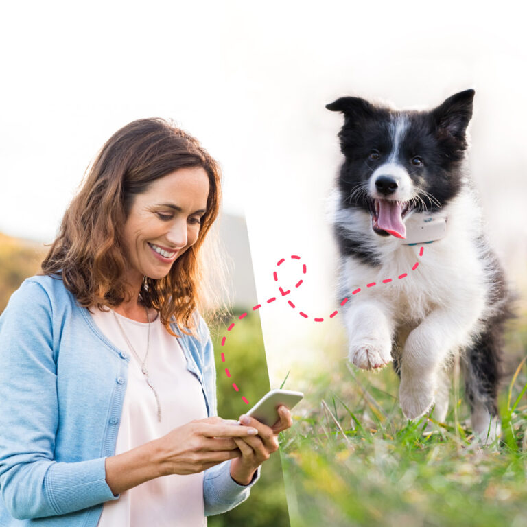 How far can a pet tracker go?