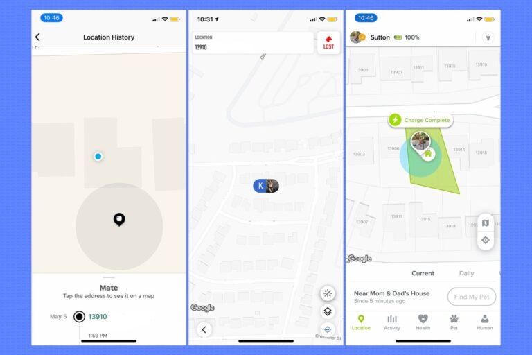 How to track your pet’s location?