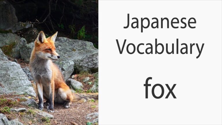 What do foxes say in Japan?