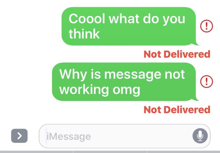 Why are my iPhone messages not delivered?