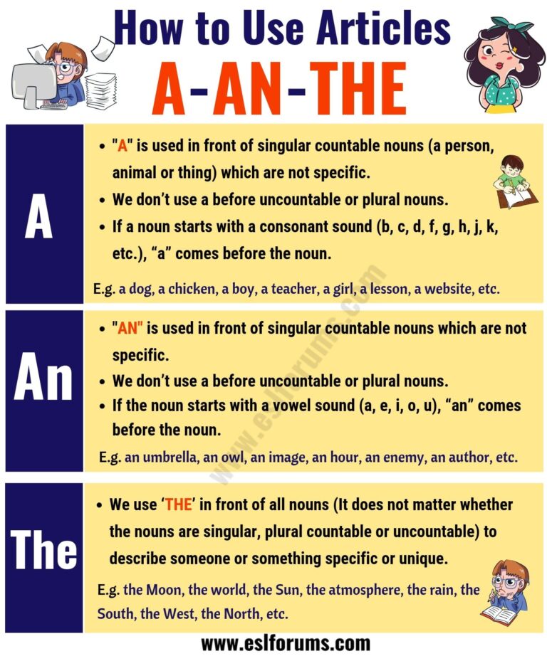 How use article a and an?