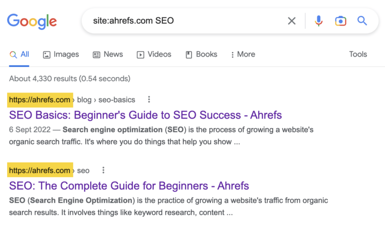 What does the * do in search results?