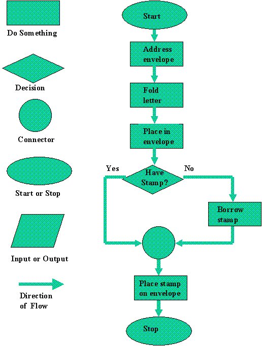 What are the 3 process in coding?