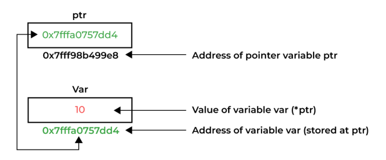 What does * indicate in pointer?