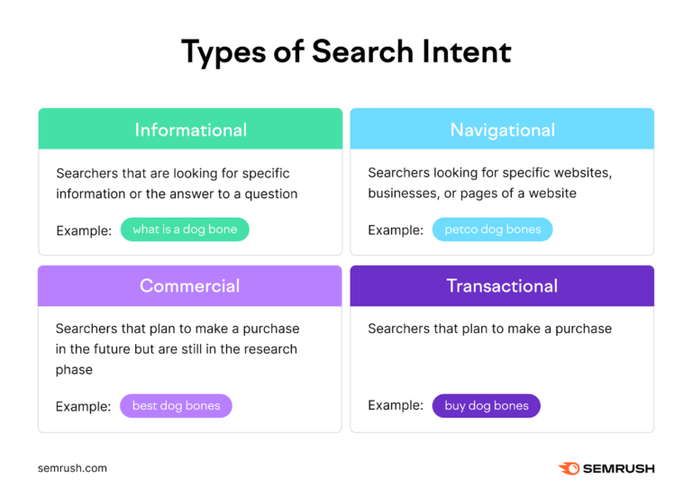 What does the * mean in search?