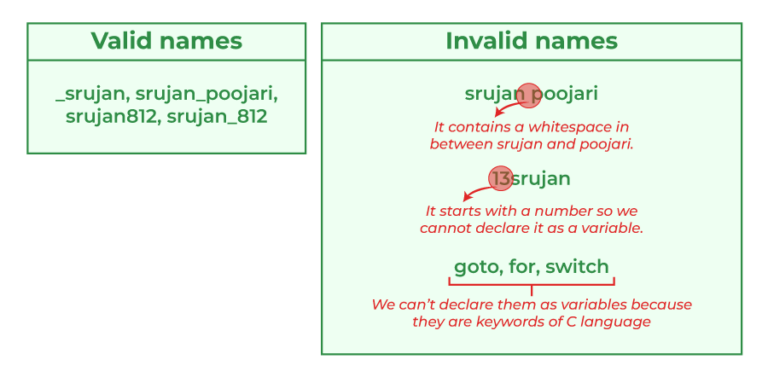 What does * variable mean in C?